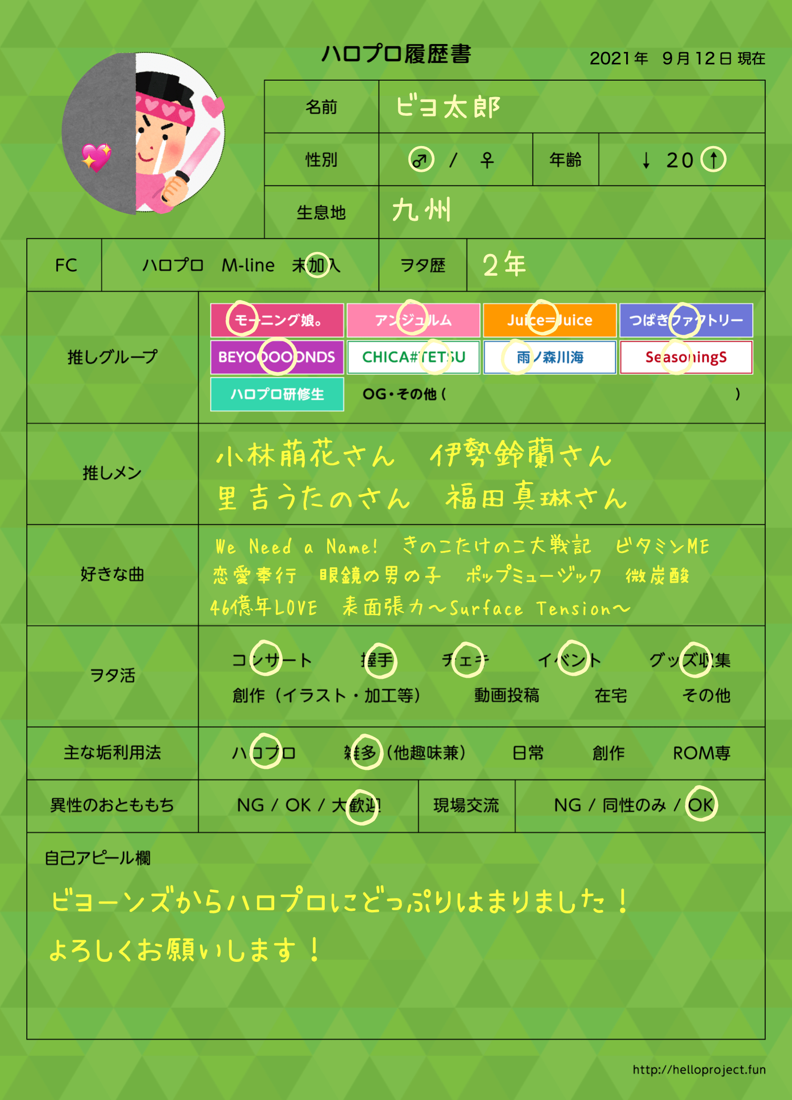 ハロプロ履歴書作例